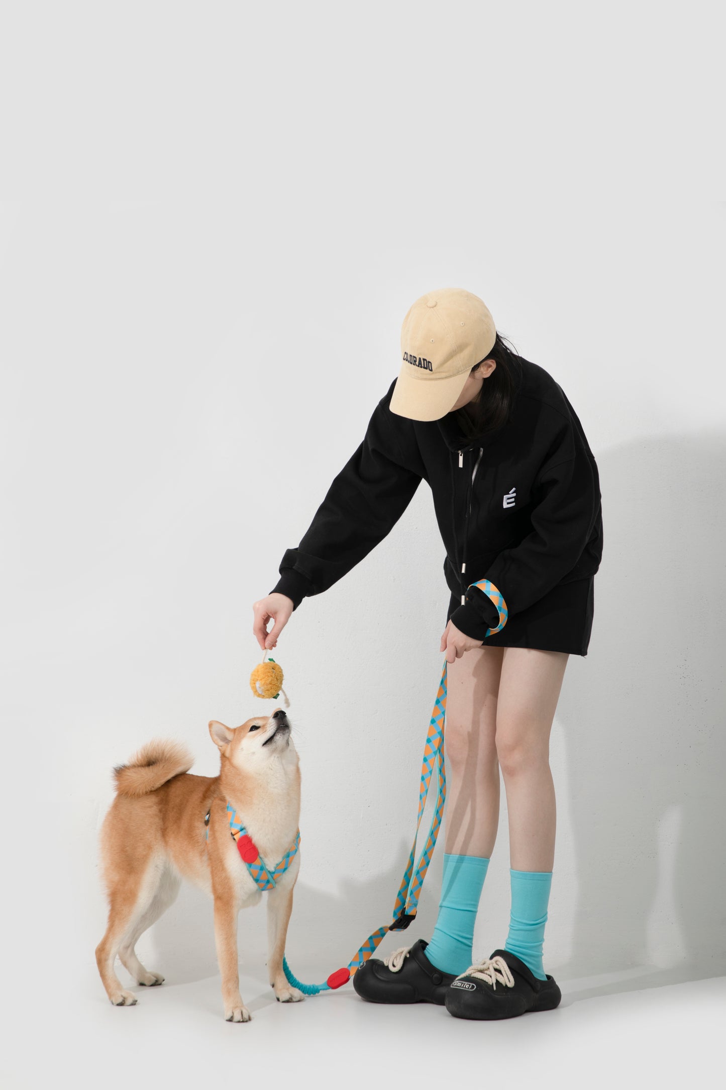 狗狗配戴petbeing繽紛系列X型胸背帶外出散步情境圖,貼身舒適