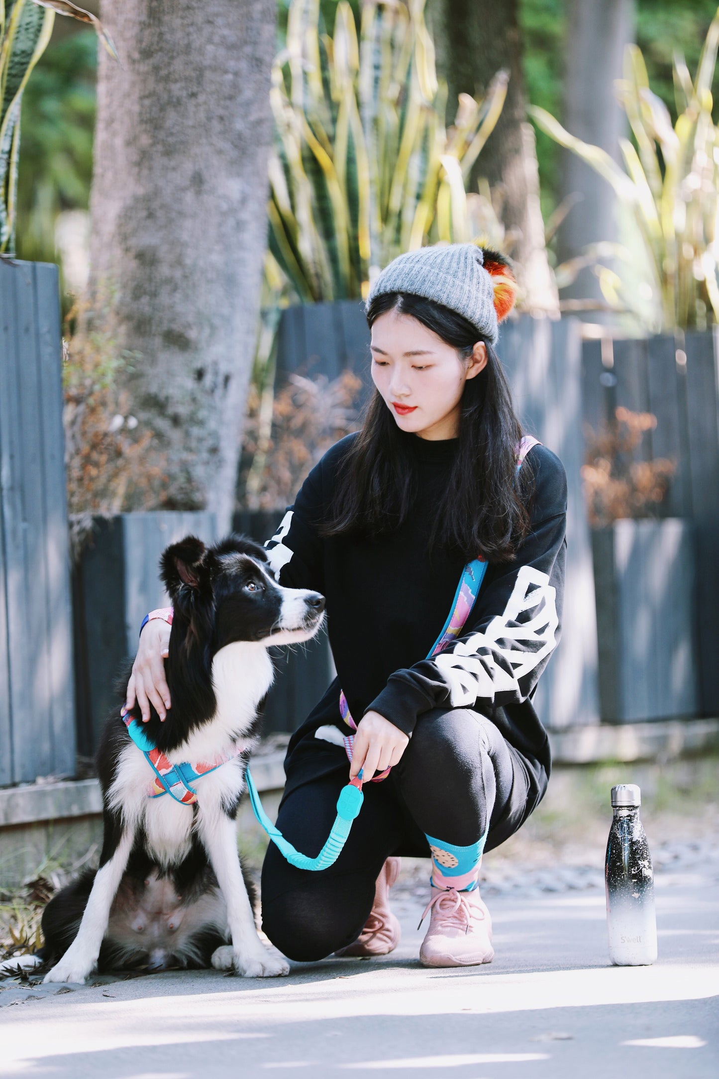狗狗配戴petbeing繽紛系列X型胸背帶外出散步情境圖,貼身舒適
