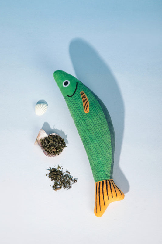 HiDREAM 貓薄荷魚玩具展示內藏天然貓薄荷